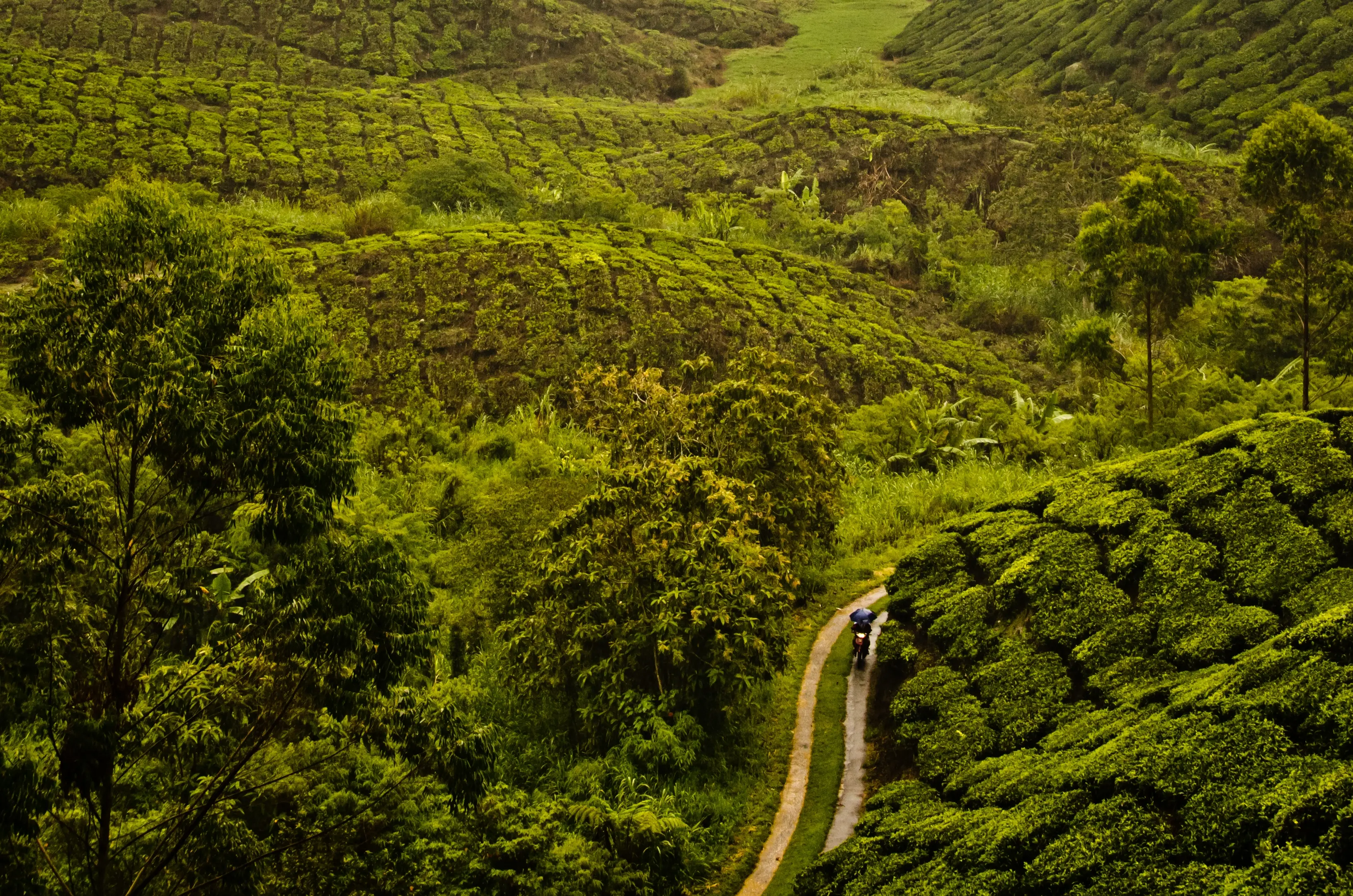 Kerala lake